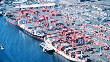 Port container transport case